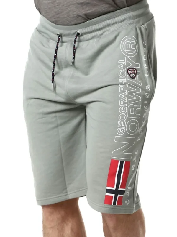 Pogo Geo Norway Shorts - Grøn^Geographical Norway New
